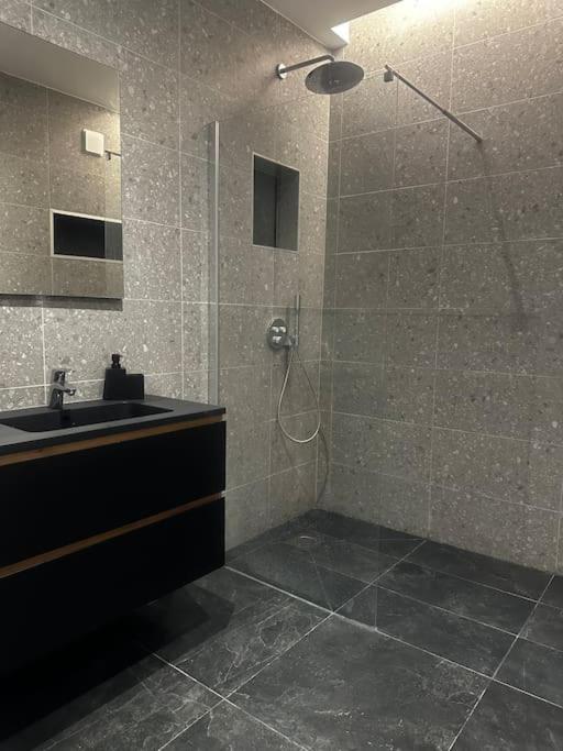 Appartement Cosy 120m2 Grenoble/caserne De Bonne
